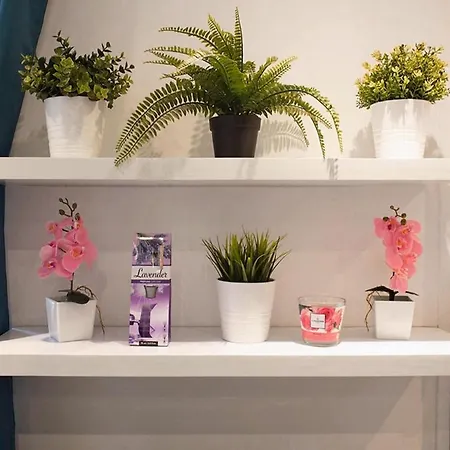 With A Terrace טולון