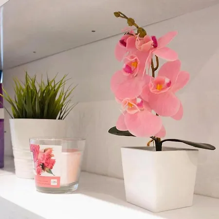 Daire With A Terrace