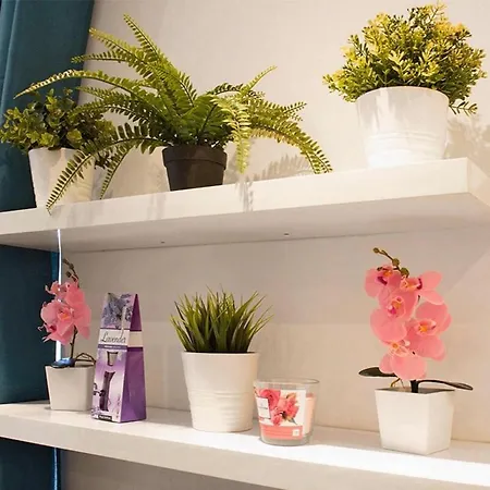 Apartman With A Terrace Toulon