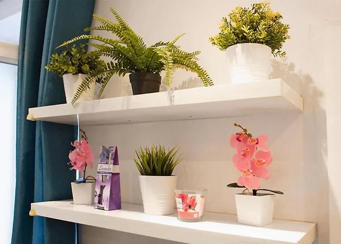 Apartamento With A Terrace Toulon