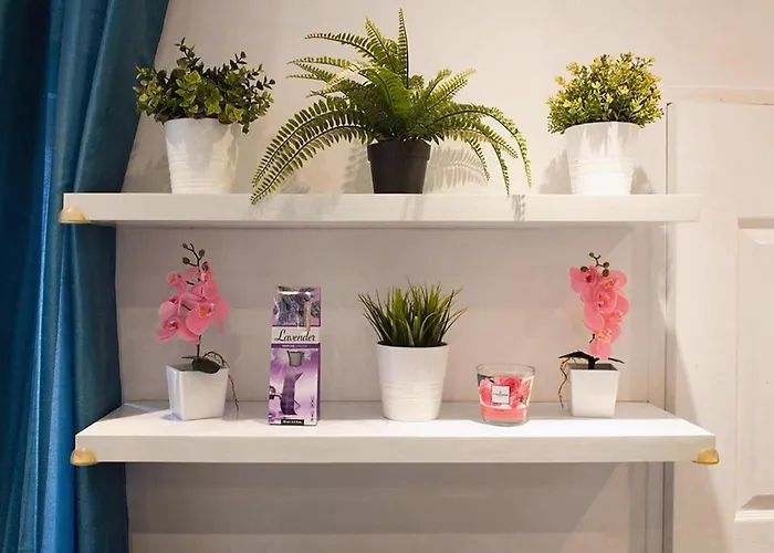 With A Terrace ツーロン